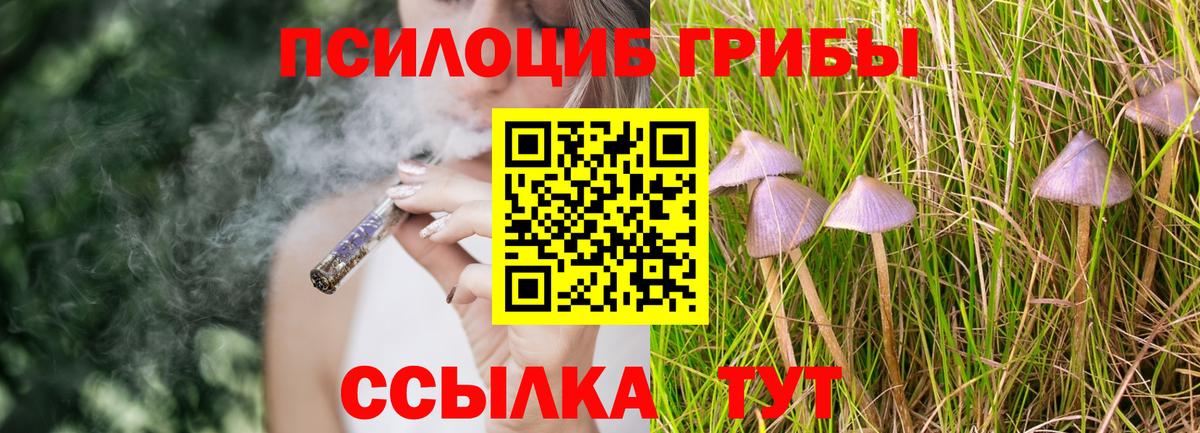 Галлюциногенные грибы ЛСД  Псилоцибиновые грибы Cubensis  Вход с VPN  Гагарин 