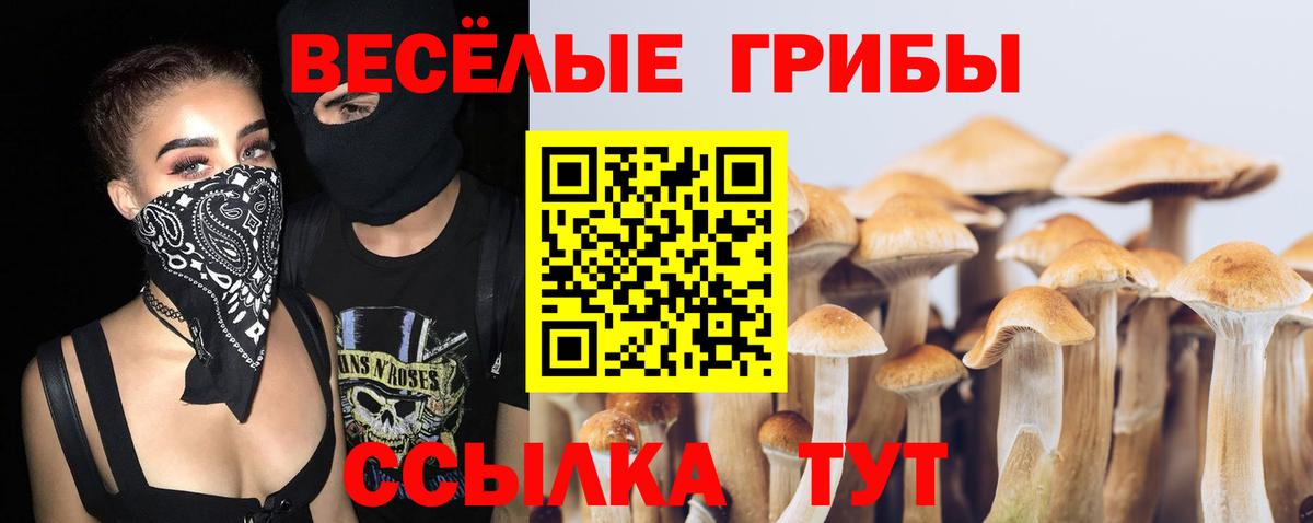 Псилоцибиновые грибы GOLDEN TEACHER Гагарин